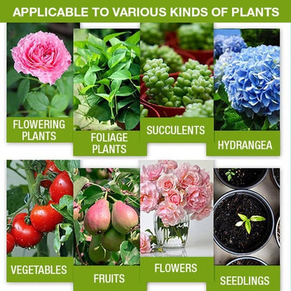 🔥 Limited-Time BOGO Offer | Plant Nutrient Solution