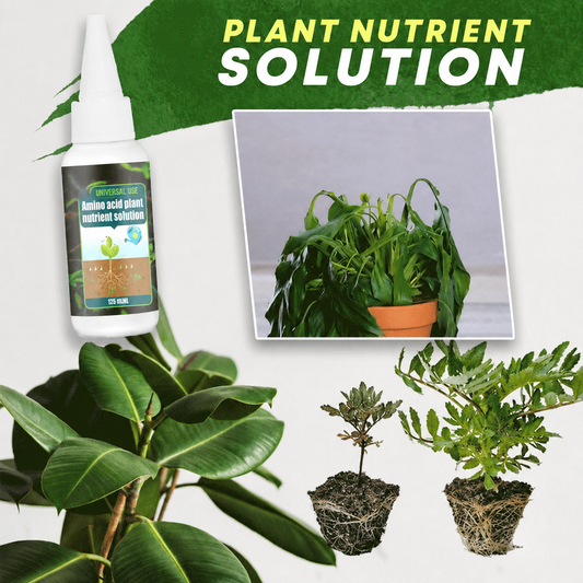 🔥Buy 1 Get 1 Free🔥Plant Nutrient Solution