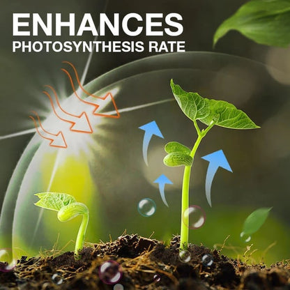 🔥 Limited-Time BOGO Offer | Plant Nutrient Solution