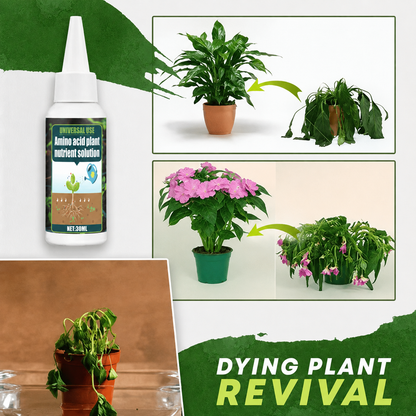 🔥 Limited-Time BOGO Offer | Plant Nutrient Solution